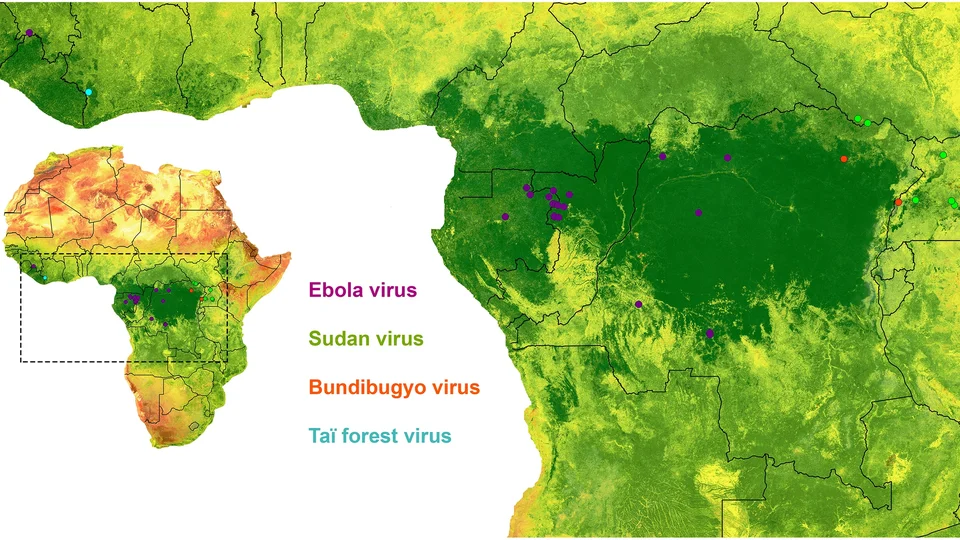 sectional map of Africa with dots to display where these viruses were located