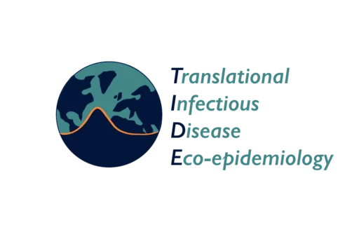TIDE lab logo