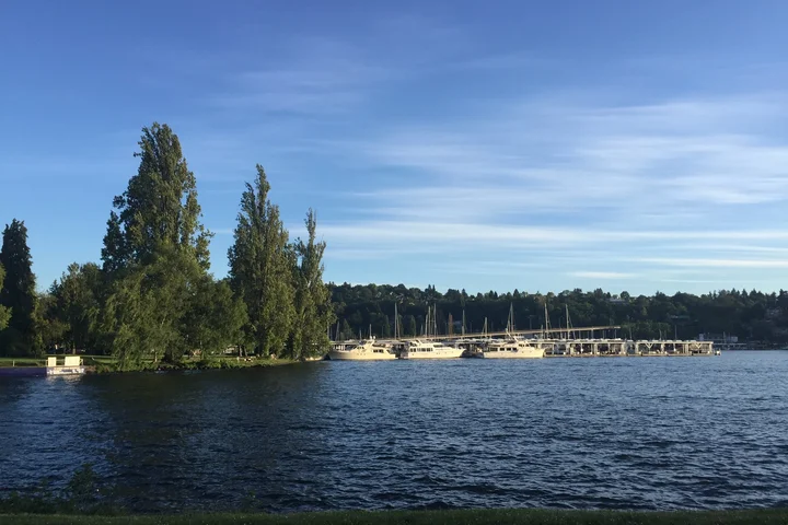 Montlake with pier and boats docked
