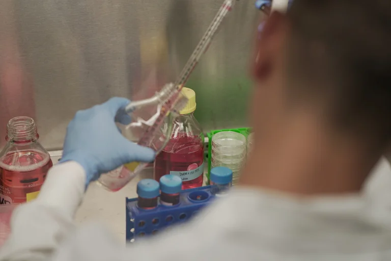 Lab member working with a pipette (Frye Lab)