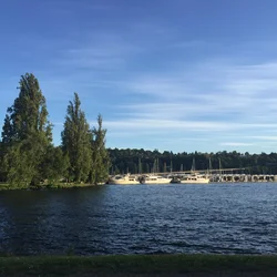 Montlake with pier and boats docked