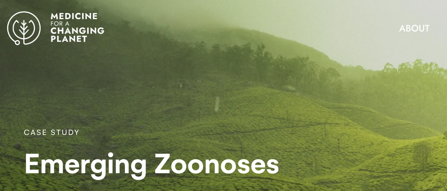 a green hillside